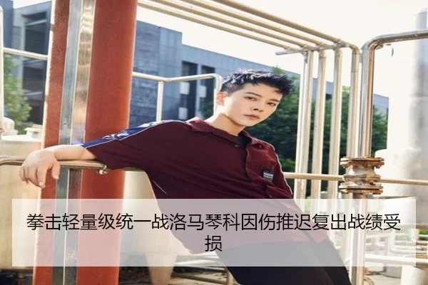拳击轻量级统一战洛马琴科因伤推迟复出战绩受损