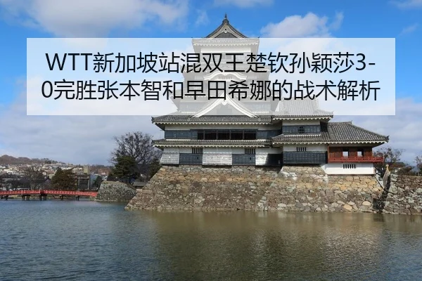 xin-jia-po-zhan-hun-shuang-wang-chu-qin-sun-ying-sha-wan-sheng-zhang-ben-zhi-he-zao-tian-xi-na-de-zhan-shu-jie-xi-3-137.jpg