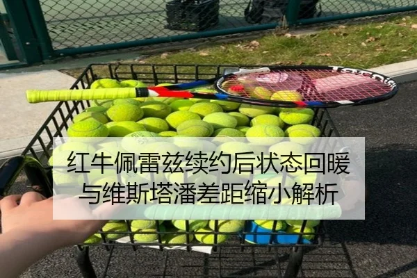 hong-niu-pei-lei-zi-xu-yue-hou-zhuang-tai-hui-nuan-yu-wei-si-ta-pan-cha-ju-suo-xiao-jie-xi-3-337.jpg