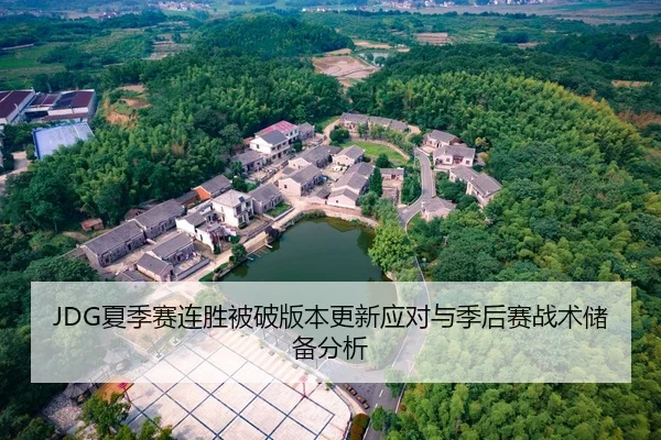 JDG夏季赛连胜被破版本更新应对与季后赛战术储备分析